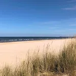 Im Kiefernwald Direkt An Der Ostsee *