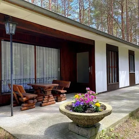 Tatil Evi Im Kiefernwald Direkt An Der Ostsee *