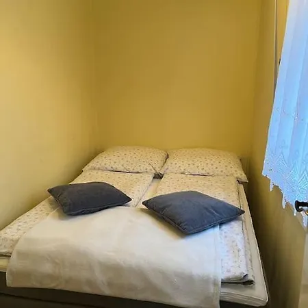 Tatil Evi Im Kiefernwald Direkt An Der Ostsee