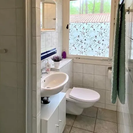 Im Kiefernwald Direkt An Der Ostsee * Karlshagen