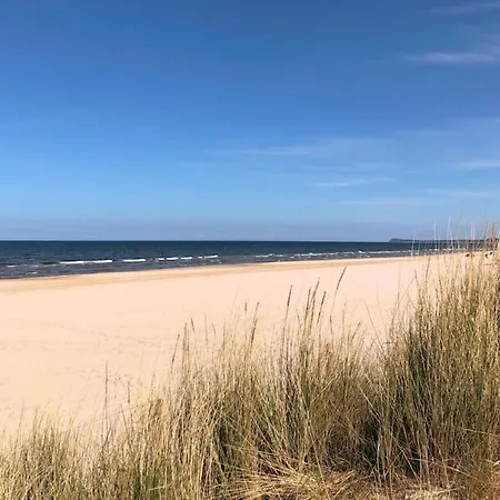 Im Kiefernwald Direkt An Der Ostsee *