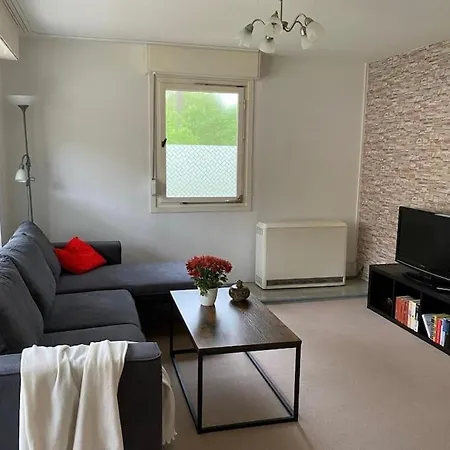 Im Kiefernwald Direkt An Der Ostsee