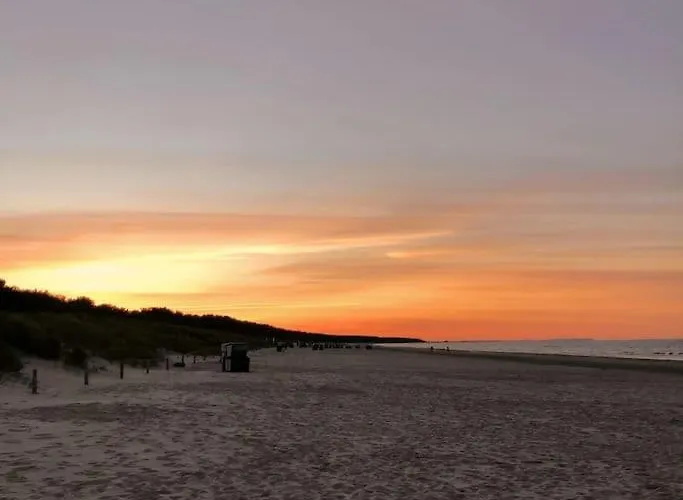 Im Kiefernwald Direkt An Der Ostsee Ferienhaus