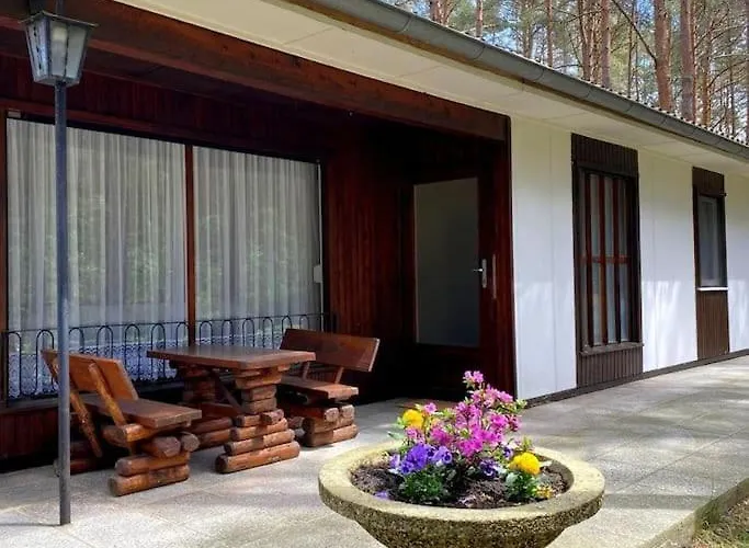 Ferienhaus Im Kiefernwald Direkt An Der Ostsee *
