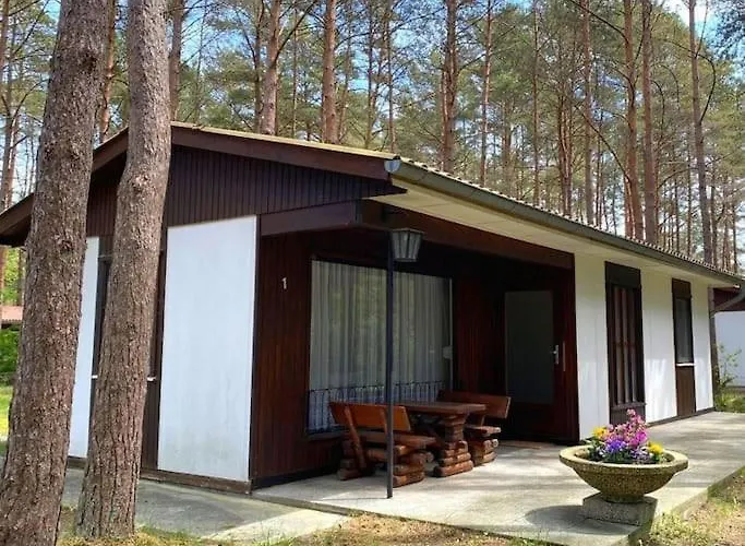 Im Kiefernwald Direkt An Der Ostsee Ferienhaus *